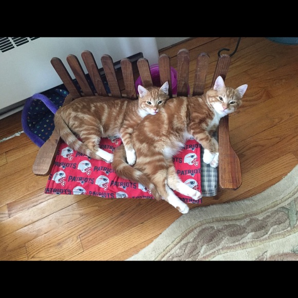 Meet your Posher, Laura - Picture 3 of 8